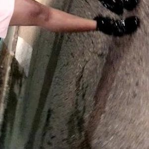 Meet your Posher, Shamara